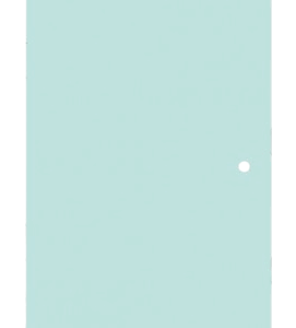 Geam Usa Dump Truck Caterpillar 201-9807